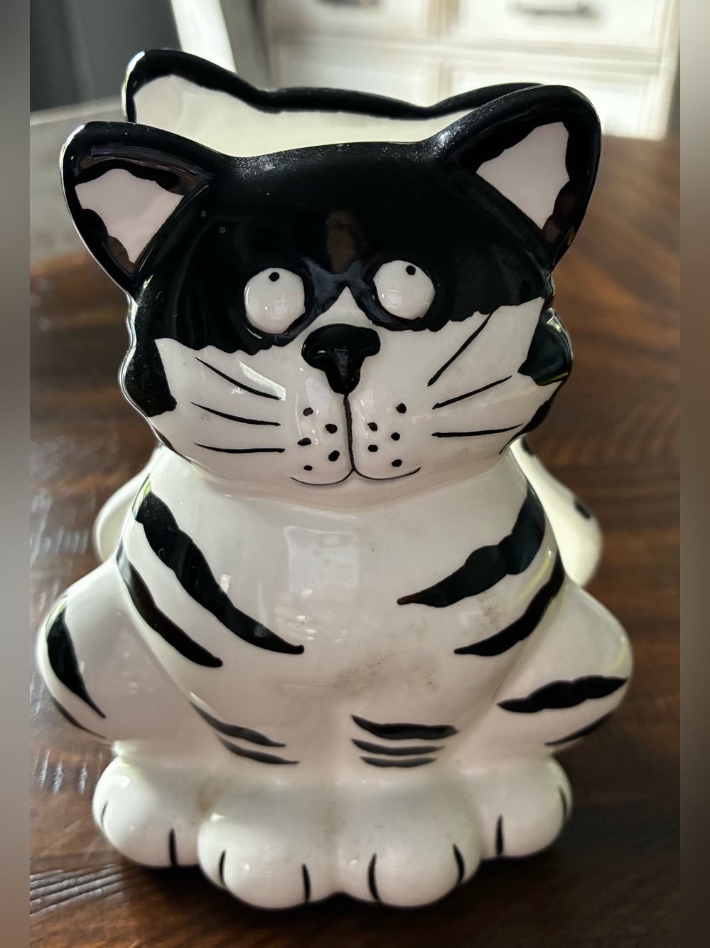 Black & White Chester the Cat Napkin Holder